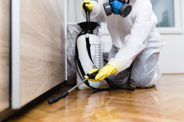 Best Emergency Pest Control  in Oakbrook Terrace, IL